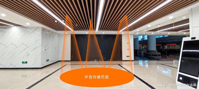 ：提升空间音效的新选择爱游戏平台吸顶定向喇叭(图2)